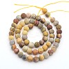 Frosted Natural Crazy Lace Agate Round Bead Strands X-G-M063-6mm-02-2
