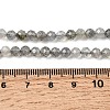 Natural Labradorite Beads Strands G-H336-A08-05-5