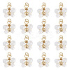 20Pcs Glass Pendants PALLOY-TAC0214-1