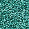 MIYUKI Round Rocailles Beads SEED-G007-RR5106-2