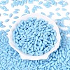 Opaque Colours Glass Seed Beads SEED-T007-16F-1