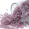 TOHO Round Seed Beads SEED-JPTR11-0110-1