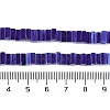 Handmade Lampwork Beads Strands LAMP-Q037-02B-07-4