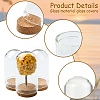 15Pcs 3 Styles Glass Dome Cloche Cover AJEW-YW0001-31-3