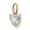 316 Stainless Steel Micro Pave Cubic Zirconia Charms LS-ZIRC-P108-01G-D-1