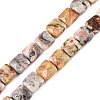 Natural Crazy Agate Beads Strands G-T138-164-4