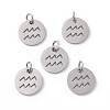 Non-Tarnish 304 Stainless Steel Charms STAS-Q201-T445-11S-2