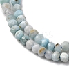 Natural Larimar Beads Strands G-F803-B01-01-4