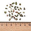 Unakite Chip Beads X-G-O103-14-2