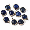 Natural Lapis Lazuli Charms G-Q998-026A-1