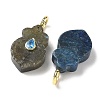 Natural Amethyst & Fluorite & Rose Quartz & Labradorite & Lapis Lazuli Pendants G-C274-01-2