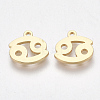 Ion Plating(IP) 304 Stainless Steel Charms STAS-S107-06J-1