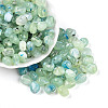 Transparent Acrylic Beads TACR-T028-43B-1