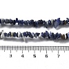 Natural Supper 7 Rutilated Quartz Chip Beaded Necklaces for Men Women NJEW-G159-01F-5