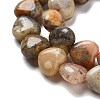 Natural Crazy Agate Beads Strands G-R190-10mm-39-4