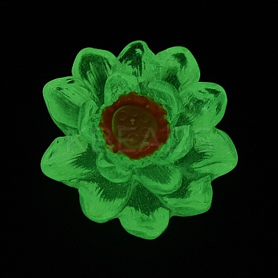 Luminous Transparent Resin Decoden Cabochons LS-CRES-F032-B04-1