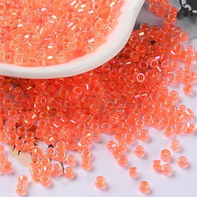 Glass Seed Beads SEED-S042-13A-06-1