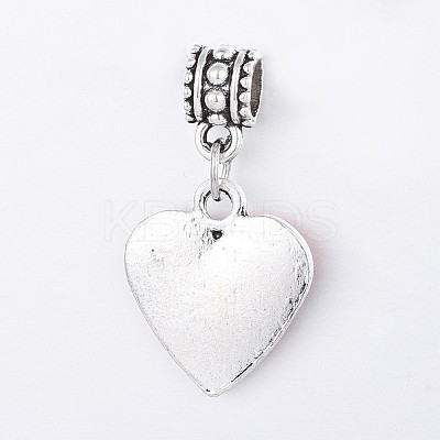 Alloy European Dangle Charms PALLOY-P123-06AS-A-1