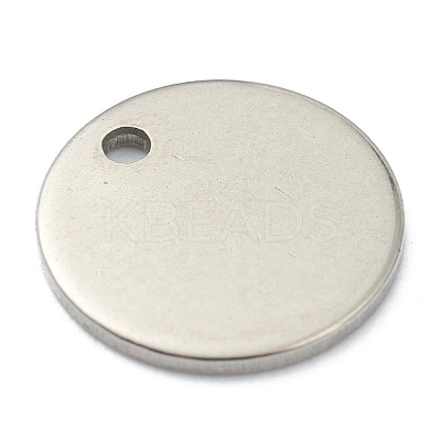 Tarnish Resistant 304 Stainless Steel Charms LS-STAS-H157-05P-1