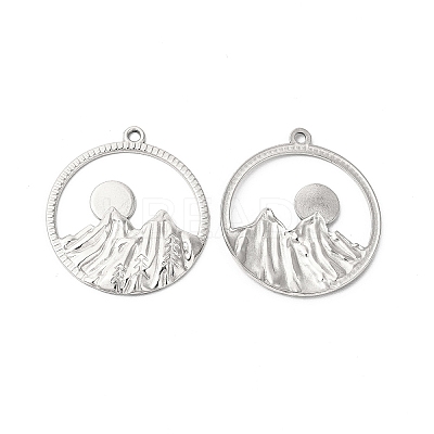 Non-Tarnish 304 Stainless Steel Pendants STAS-L268-010P-1
