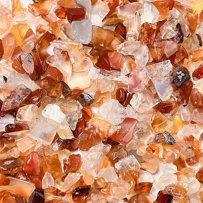 Natural Carnelian Chip Beads LS-X-G-O103-18-1