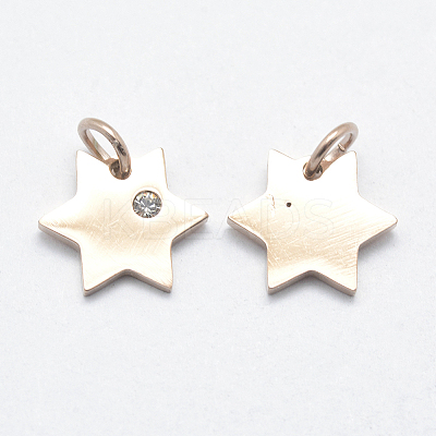 316L Surgical Stainless Steel Pendants STAS-J038-02RG-1