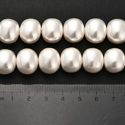 Shell Pearl Beads Strands BSHE-F013-01A-1