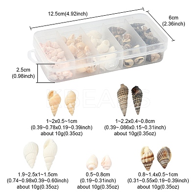5 Styles Mixed Natural Shell Beads SSHEL-YW0001-04-1