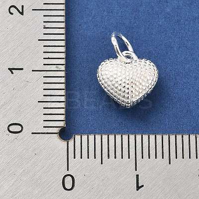 925 Sterling Silver Charms STER-S009-07A-S-1
