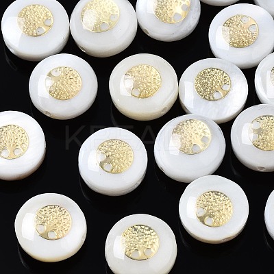 Freshwater Shell Beads SHEL-T018-20-1