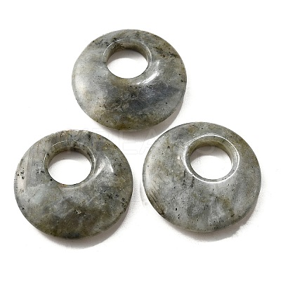 Natural Labradorite Pendants G-F524-H20-1