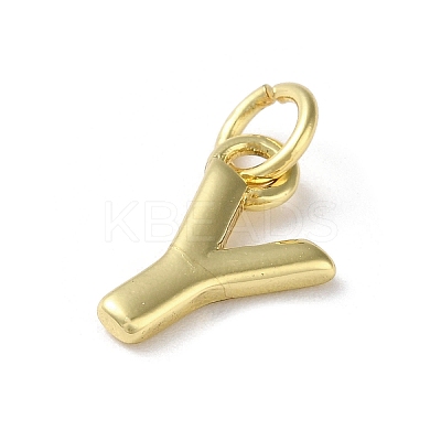 Rack Plating Brass Charms KK-P245-06G-Y-1
