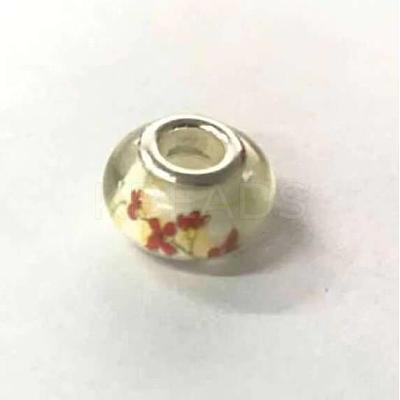 Plastics European Beads KY-WH0026-70F-1