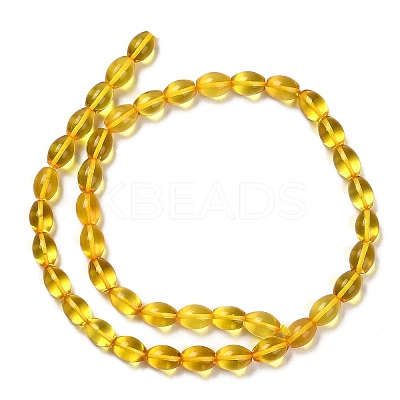 Natural Baltic Amber Beads Strands G-L584-01B-1