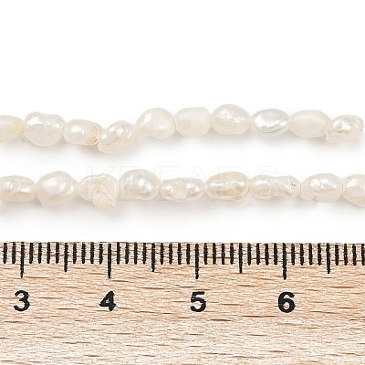 Natural Cultured Freshwater Pearl Beads Strands PEAR-P064-20E-01A-1