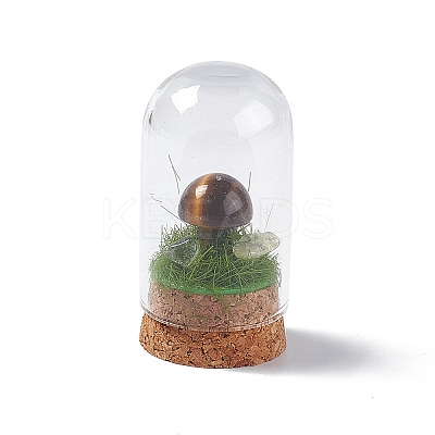 Natural Tiger Eye Mushroom Display Decoration with Glass Dome Cloche Cover G-E588-03F-1