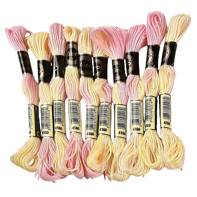 10 Skeins 6-Ply Polyester Embroidery Floss OCOR-CY0002-99G-1