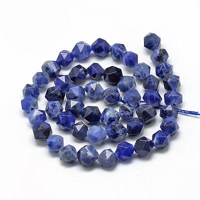 Natural Sodalite Beads Strands G-R448-8mm-09-1