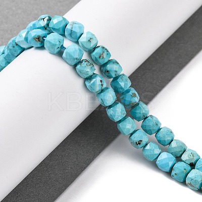Natural Howlite Beads Strands G-G001-B02-05-1