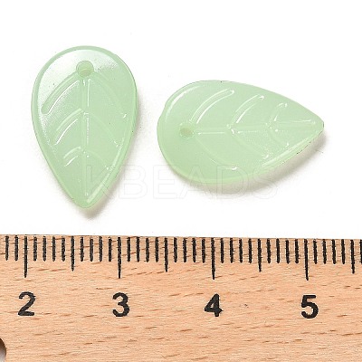 Translucent Acrylic Pendants OACR-Z016-10A-1