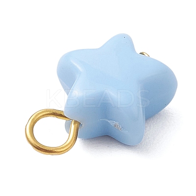 Opaque Acrylic Pendants PALLOY-JF04199-01-1
