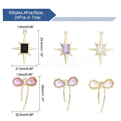 24Pcs 6 Styles Alloy Resin Pendants & Alloy Glass Pendants FIND-CA0007-40-1