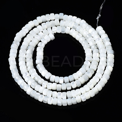 Natural Trochid Shell/Trochus Shell Beads Strands SSHEL-S266-016A-01-1