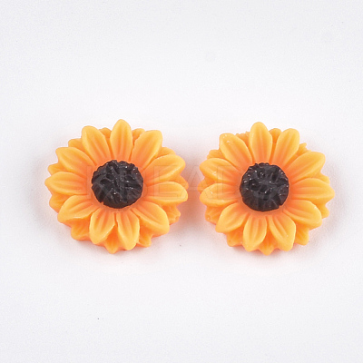 Resin Cabochons CRES-T010-60-1