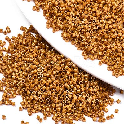 FGB 11/0 Grade A Baking Paint Glass Seed Beads X-SEED-S030-1030-1