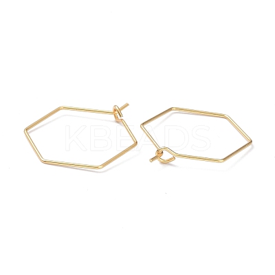 316 Stainless Steel Hoop Earring Findings STAS-K216-03A-G-1