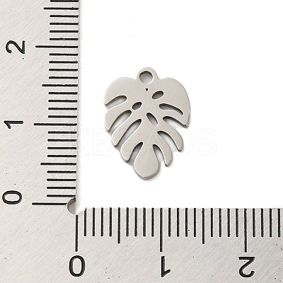 Non-Tarnish 304 Stainless Steel Charms STAS-S123-01P-06-1