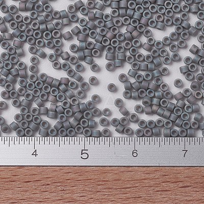 MIYUKI Delica Beads SEED-X0054-DB0882-1