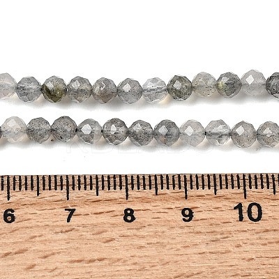 Natural Labradorite Beads Strands G-H336-A08-05-1