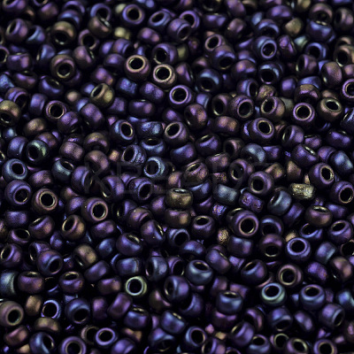 MIYUKI Round Rocailles Beads SEED-JP0008-RR2061-1